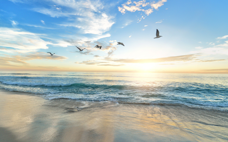 Your Will Controls Your Thinking